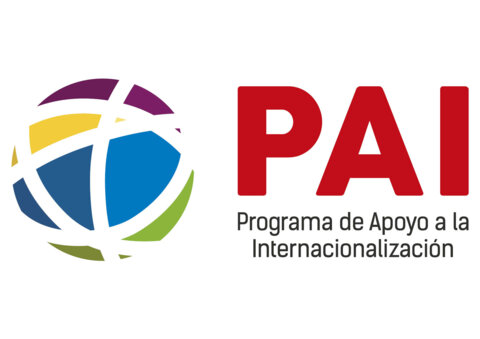 Support Programme for Internationalisation (PAI)